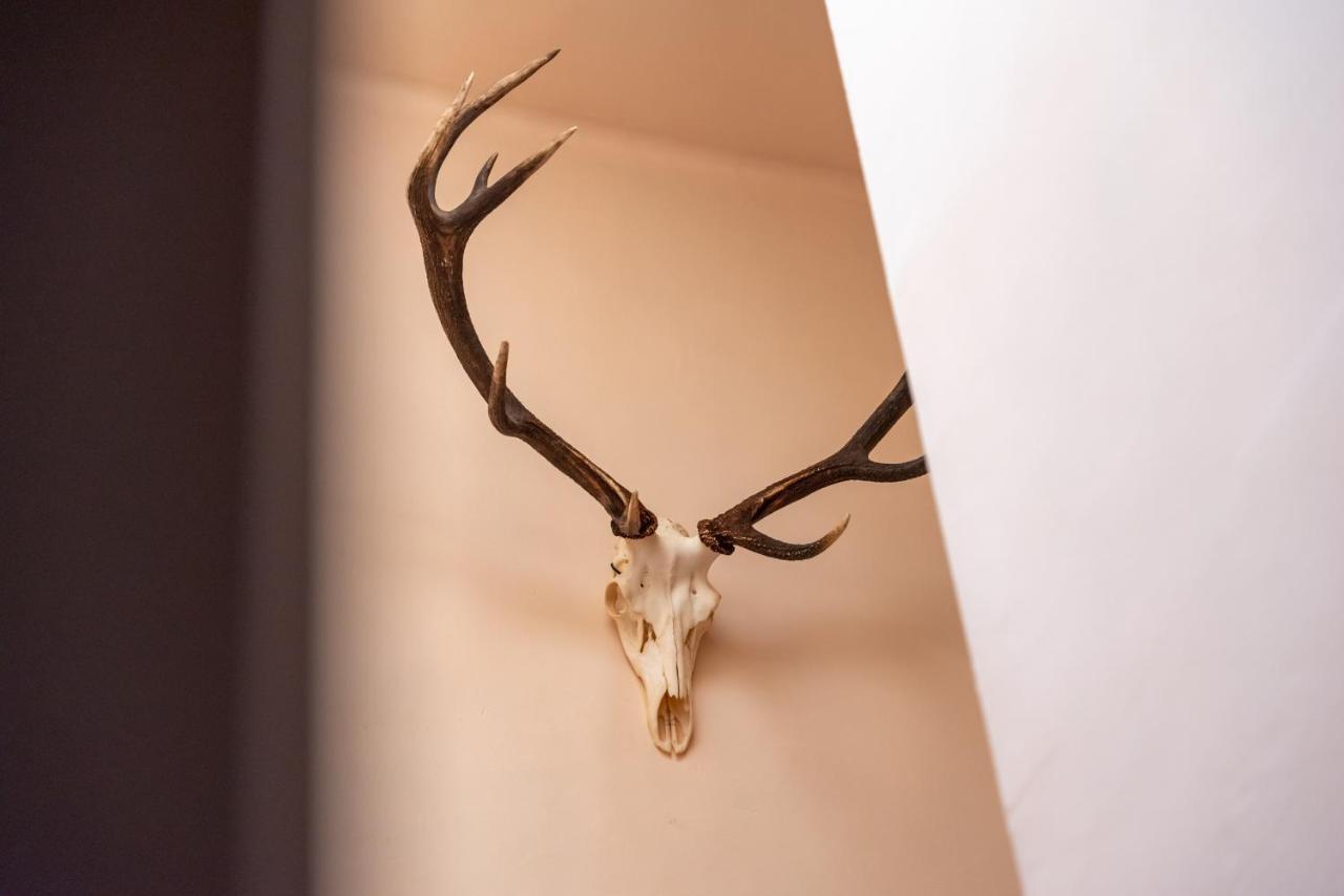 Hotel Le Cor De Chasse 圣于贝尔 外观 照片